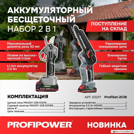 Profipower ProfiSet-2G20 E0217 (цепная пила, секатор, 2 АКБ) купить в Минске с доставкой