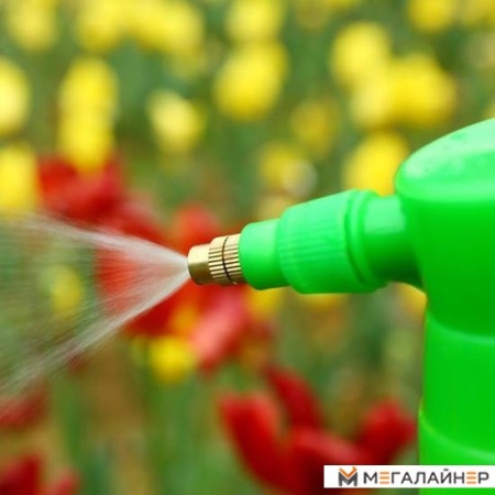 Компрессорный Deko DKSP05 065-0937 3 л купить в Минске с доставкой