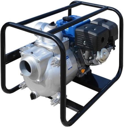 Мотопомпа ТСС PGST100 купить в Минске с доставкой