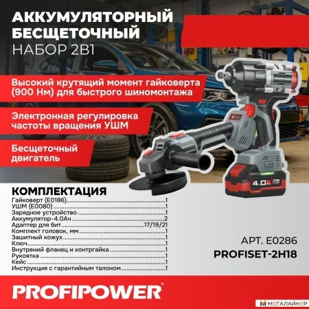 Profipower ProfiSet-2H20 E0286 (гайковерт, болгарка, 2 АКБ, кейс) купить в Минске с доставкой
