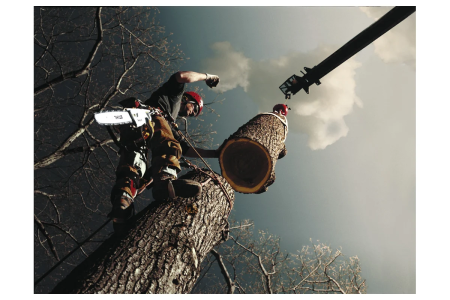 Бензиновая пила STIHL MS 361 с шиной 40 см купить в Минске с доставкой