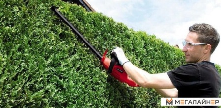 Кусторез Einhell GC-EH 5747 купить в Минске с доставкой