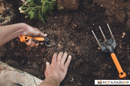 Совок Fiskars Premium Planters 1000727 купить в Минске с доставкой