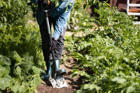 Лопата штыковая остроконечная Plantic Terra Pro 11002-01 купить в Минске с доставкой