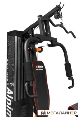 Силовая станция Alpin Pro Gym GX-750