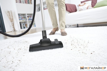 Пылесос Karcher DS 6 купить в Минске с доставкой