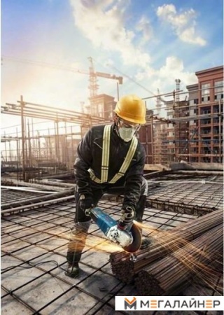 Угловая шлифмашина Bosch GWS 30-230 B Professional 06018G1000 купить в Минске с доставкой