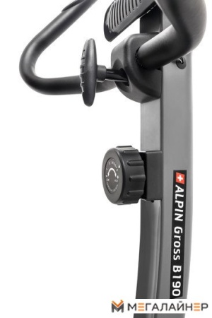 Велотренажер Alpin Gross
