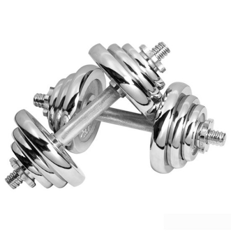 Гантели с грифом для штанги Alpin DB-20кг