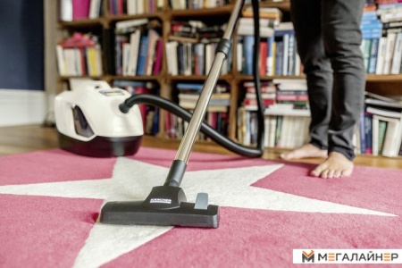 Пылесос Karcher DS 6 Plus 1.195-252.0 купить в Минске с доставкой