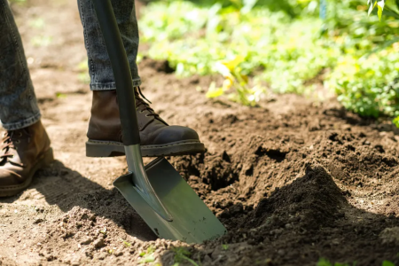 Лопата штыковая остроконечная Plantic Terra Pro 11002-01 купить в Минске с доставкой