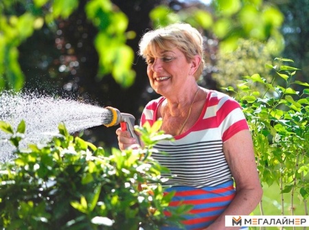 Hozelock Multi Plus 2691 купить в Минске с доставкой