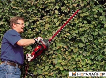 Кусторез Einhell GC-EH 5550/1 купить в Минске с доставкой