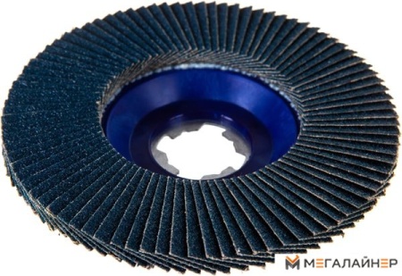 Шлифовальный круг Bosch 2608619210 купить в Минске с доставкой