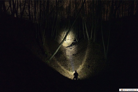 Фонарь Armytek Bear WRG