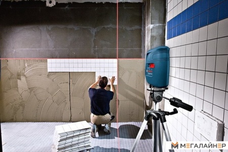 Купить Лазерный нивелир Bosch GLL 3 X Professional [0601063CJ0] в Минске с доставкой