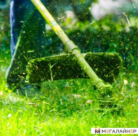 Триммер Oasis TE-120 купить в Минске с доставкой