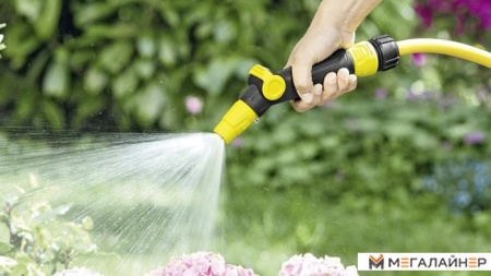 Karcher Регулируемая насадка для полива [2.645-267.0] купить в Минске с доставкой