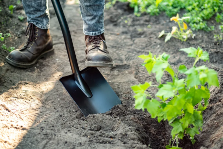 Лопата штыковая остроконечная Plantic Terra 11005-01 купить в Минске с доставкой