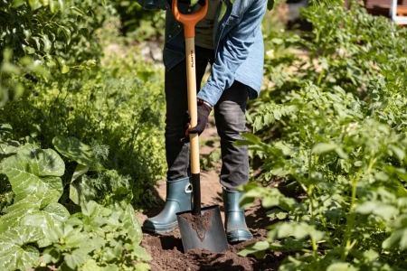 Лопата штыковая остроконечная Plantic Дача 11008-01 купить в Минске с доставкой