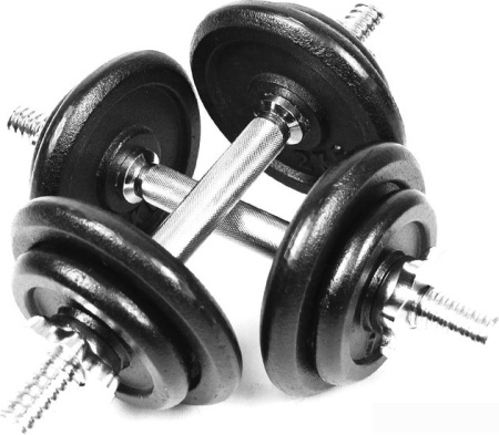 Штанга с гантелями Atlas Sport Штанга + 2 гантели 48 кг