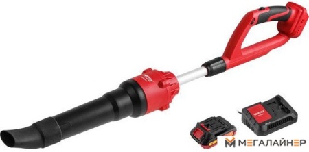 Ручная воздуходувка Wortex BB 2018-1 D ALL1 XLT SET 1334646 (с 1-им АКБ) купить в Минске с доставкой