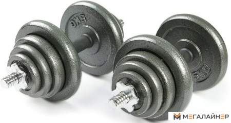 Набор гантелей Atlas Sport Металлические 2x20 кг