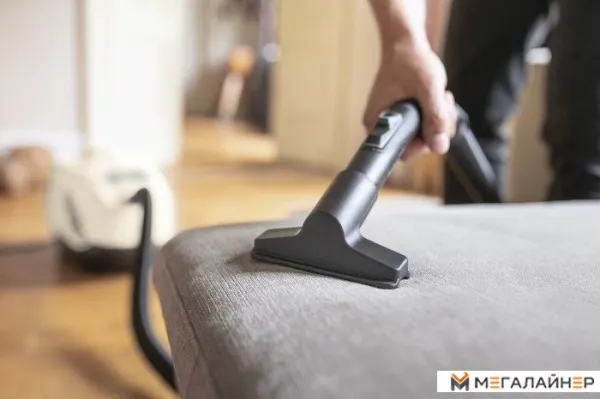 Пылесос Karcher DS 6 Plus 1.195-252.0 купить в Минске с доставкой