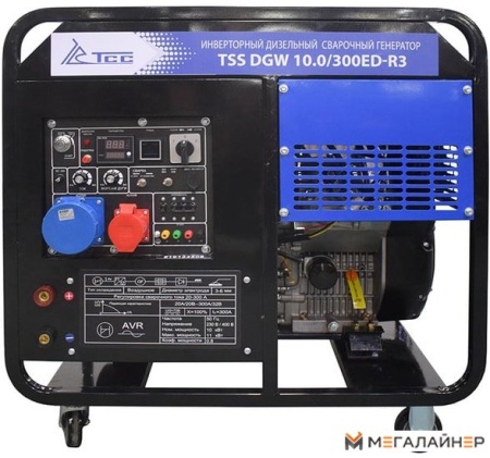 Купить Дизельный генератор ТСС DGW 10.0/300ED-R3 в Минске с доставкой по РБ