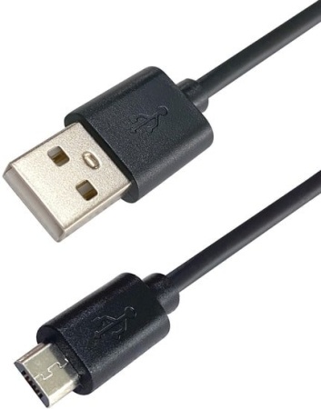 Аккумуляторный опрыскиватель Bort BFP-36-Li купить в Минске с доставкой