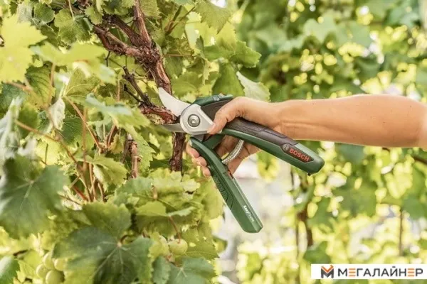 Секатор Bosch EasyPrune купить в Минске с доставкой