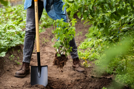 Лопата штыковая остроконечная Plantic Дача 11008-01 купить в Минске с доставкой