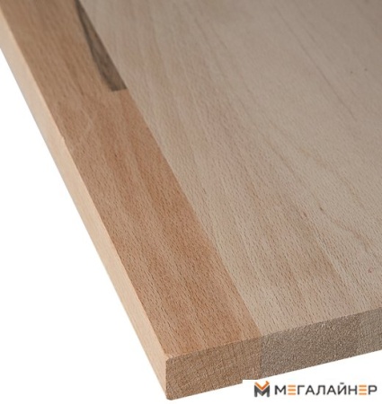 Стол-верстак Baumeister Бейсик BTC-006A купить в Минске с доставкой