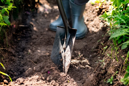 Лопата штыковая остроконечная Plantic Terra 11003-01 купить в Минске с доставкой