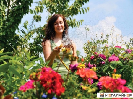 Распылитель Hozelock Hose Nozzle 2292 купить в Минске с доставкой