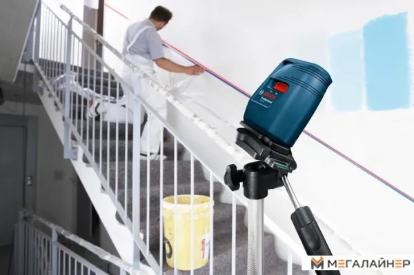 Купить Лазерный нивелир Bosch GLL 3 X Professional [0601063CJ0] в Минске с доставкой