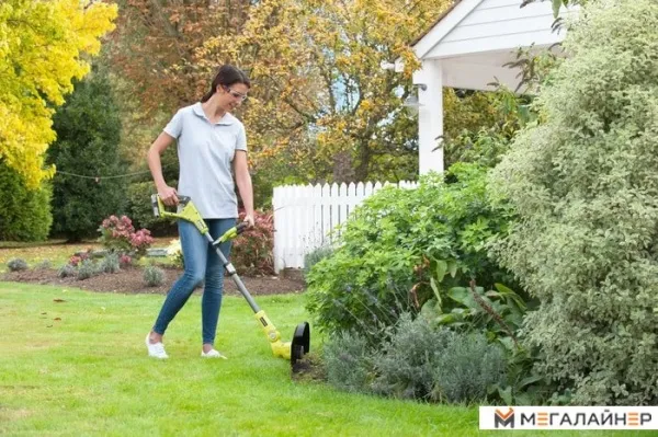 Триммер Ryobi RLT183225F купить в Минске с доставкой