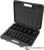 Набор торцевых головок FORSAGE F-4167-5MPB (16 предметов) купить в Минске с доставкой
