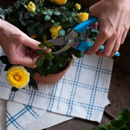 Секатор Plantic Light L61 25261-01 купить в Минске с доставкой