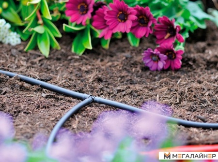 Разветвитель Hozelock T 4 mm 7025 купить в Минске с доставкой