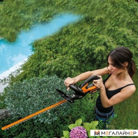 Кусторез Worx WG261E.9 (без АКБ) купить в Минске с доставкой