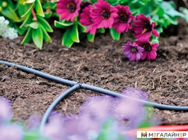 Разветвитель Hozelock T 4 mm 7025 купить в Минске с доставкой