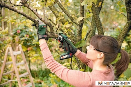 Сабельная пила Bosch AdvancedCut 18 06033D5101 (с 1-м АКБ) купить в Минске с доставкой