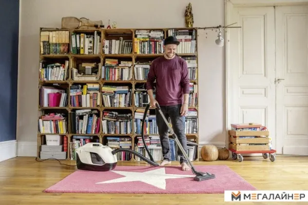 Пылесос Karcher DS 6 Plus 1.195-252.0 купить в Минске с доставкой